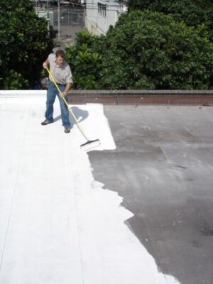 roof coating